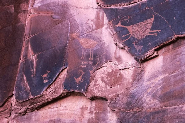 Ünlü anasazi oyma Anıt Vadisi Navajo kabile Parkı, Arizona, ABD hayvanları temsil eden petroglifler.