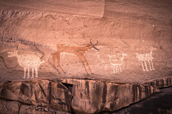 Painted Anasazi petroglyphs representing animals on sandstone cliffs in the Canyon de Chelly National Monument - Arizona, USA.
