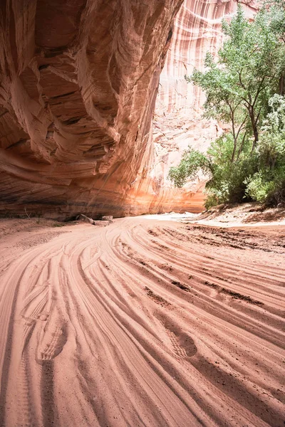 Kanyon Chelly Ulusal Anıtı Chinle Arizona Abd Kumtaşı Kayalıklarla Birlikte — Stok fotoğraf