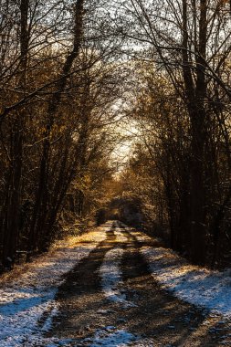 Karlı yol geç öğleden sonra kış, Alsace, Fransa bir ormanda.
