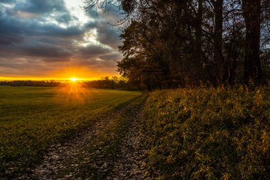Güzel ve doğal kırsal günbatımı ve dramatik bir yürüyüş yolu ile bulutlu gökyüzü çayır ve orman arasında ölü yapraklar sonbaharda, Alsace, Fransa kaplı.