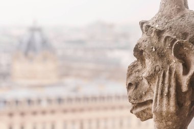 Chimera kafa veya Notre-Dame Paris Katedrali, Fransa, kopya alanı ile çehresini closeup.