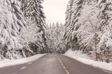 Temizlenmiş bir yol dağlarda karlı firs tarafından erken kış aylarında (Kasım 2017) Vosges (Fransa çevrili.) 