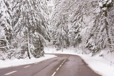 Temizlenmiş bir yol dağlarda karlı firs tarafından erken kış aylarında (Kasım 2017) Vosges (Fransa çevrili.) 