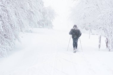 Bir iz bu süre dağ doğa yürüyüşü snowshoeing bir uzun yürüyüşe çıkan kimse ağır ya da bir kar fırtınası sırasında kar yağmaya başladı. Vosges (Fransa), Kasım 2017. Kopya alanı