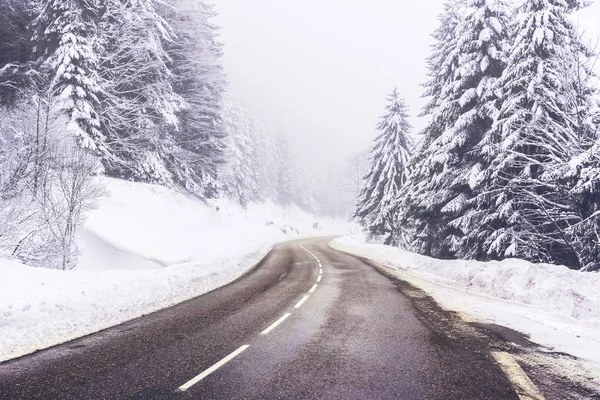 Uma Curva Estrada Limpa Uma Floresta Pinheiros Nevados Durante Dia — Fotografia de Stock