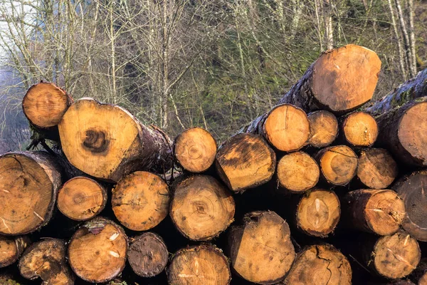 Close-up on a log pile