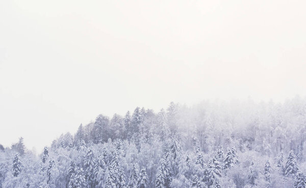 Зимний пейзаж в горах Вогес (Франция) со снежными деревьями и туманной атмосферой. Туманное небо предлагает большое пространство для копирования
.