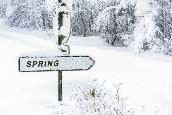 Spring direction sign covered with snow in winter. Season concepts. End of winter, beginning of Spring.