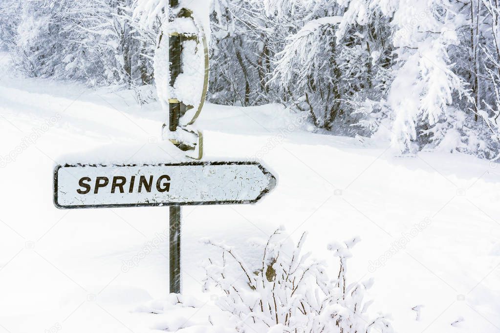 Spring direction sign covered with snow in winter. Season concepts. End of winter, beginning of Spring.