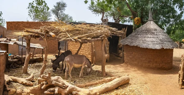 西非布基纳法索北部莫西村的传统住宅或住宅的庭院 — 图库照片