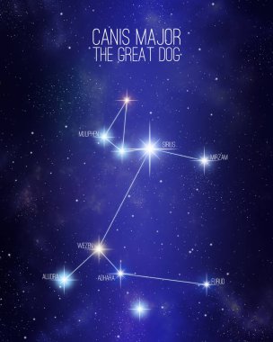 Ana yıldızların isimleri ile yıldızlı bir uzay arka planda büyük köpek takımyıldızı Canis Major. Spektral yıldız tipine dayanan göreli Boyutlar ve farklı renk tonları.