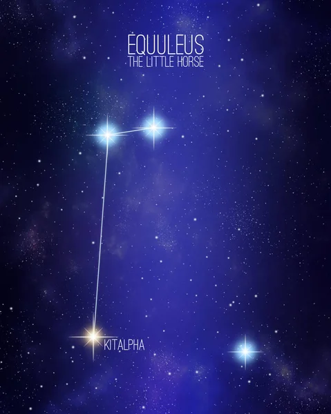 Equuleus the little horse constellation on a starry space background with the names of its main stars. Relative sizes and different color shades based on the spectral star type.