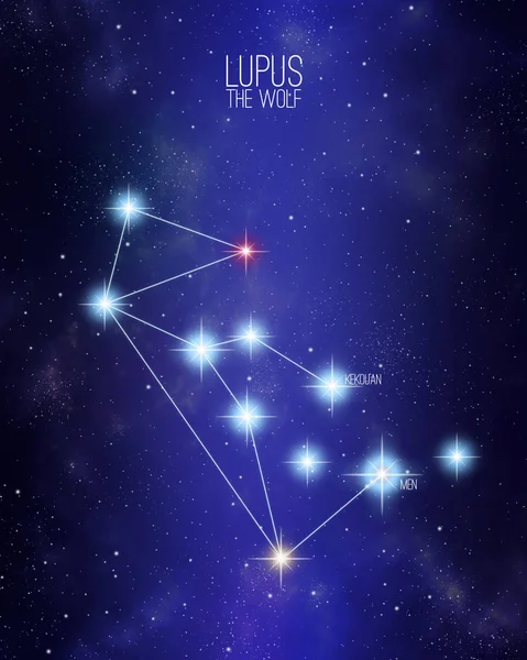 Lupus la constelación de lobos sobre un fondo espacial estrellado con los nombres de sus estrellas principales. Tamaños relativos y diferentes tonos de color basados en el tipo de estrella espectral . —  Fotos de Stock