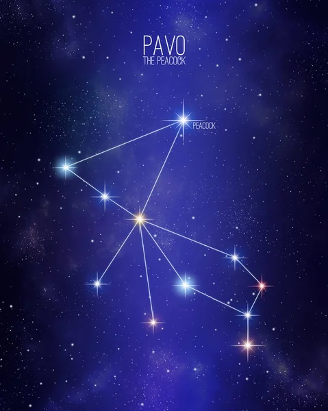 Pavo the peacock constellation map on a starry space background. Stars relative sizes and color shades based on their spectral type.