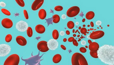 Blood cells 3d rendering illustration. Red and white blood cells and platelets flowing on a blue or aqua background. Medical and biology concept. clipart