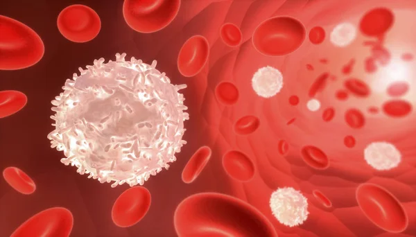 Glóbulos brancos e vermelhos a fluir através de um vaso sanguíneo. Médico e biologia 3D renderizar ilustração . — Fotografia de Stock