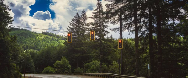 Three red traffic lights hanging over the road through a mountain forest, usa.