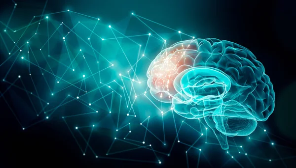 Human brain activity with plexus lines.. External cerebral connections in the frontal lobe. Communication, psychology, artificial intelligence or AI, neuronal informations or cognition concepts illust — Stock Photo, Image