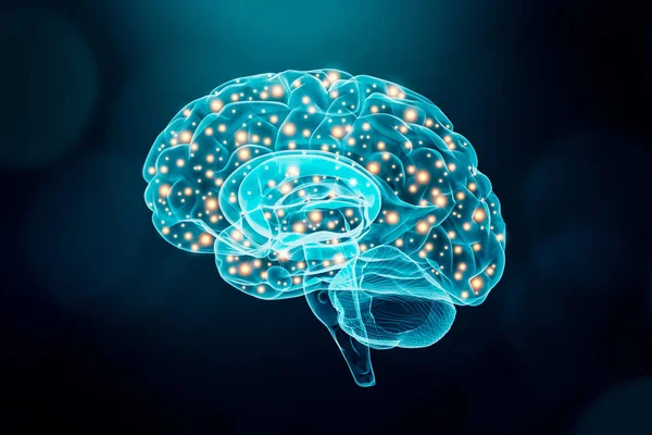 Menselijk brein. Cerebrale of Neuronale activiteit concept. Wetenschap, cognitie, psychologie, geheugen, conceptuele illustratie leren. — Stockfoto