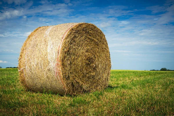 Mavi gökyüzü ve kopya sp ile bir çim alanında bir samanlık Closeup