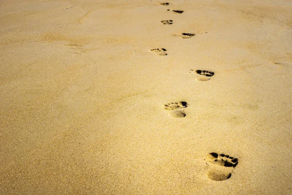 Footprints in the sand with copy space. Stock Photo