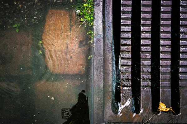 Top view of rain water flowing through a steel street gutter drain