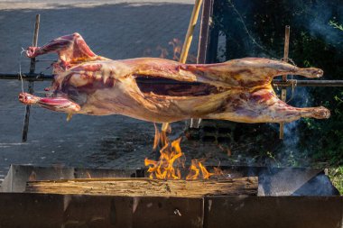 Kuzey Afrika 'dan geleneksel yemek olan mechoui olarak da adlandırılan bütün bir koyunun kuzu barbeküsü ya da barbeküsü. Şenlikli yemek konsepti.