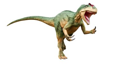 Beyaz arka planda saldırıya uğramış ya da agresif duruşu olan Allosaurus kırılganlığı. Dinozor gerçekçiliği ve bilimsel yeniden yapılanma. 3B resimleme.