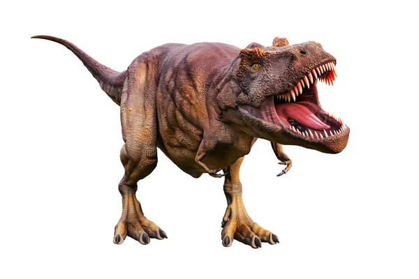 Tyrannosaurus Rex ya da T _ Rex bilimsel ve gerçekçi yeniden anayasa beyaz arka planda izole edildi. Dinozorların kralının 3 boyutlu çizimi.