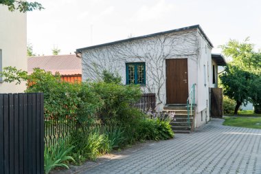 Eski sarmaşık kaplı, taş Beyaz Saray pencere yeşil