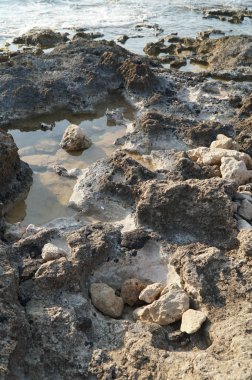 Kıbrıs'ta Coral Bay Sea, adada yaz