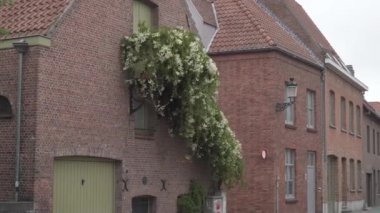 Eski Bruges şehrinin manzarası