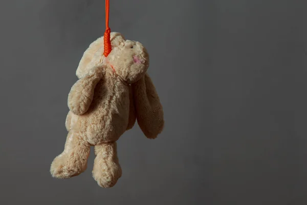 Självmordsbenägen kanin på apelsin repet — Stockfoto