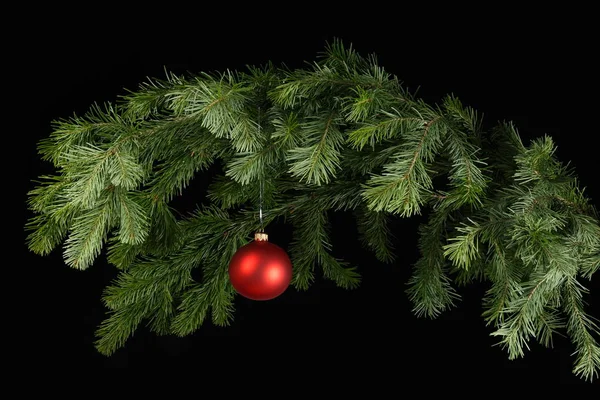 Czerwona piłka Boże Narodzenie na Branche jodły. Czarne tło. — Zdjęcie stockowe