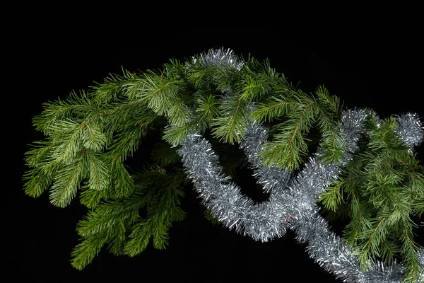 Silver glitter på en Gran branche. Svart bakgrund. — Stockfoto