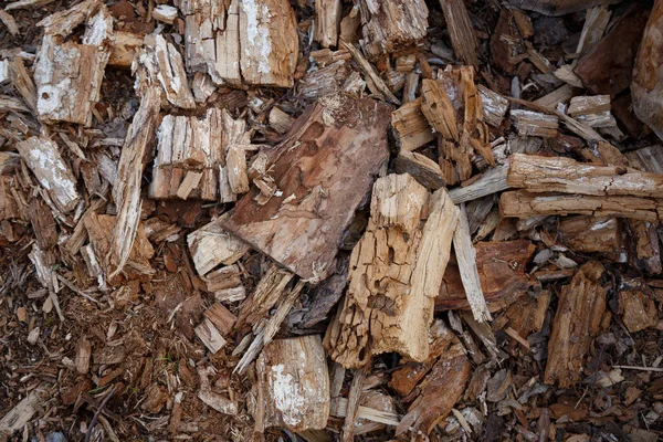 Hintergrund aus wahllosen Holzstücken. Brennholz. — Stockfoto