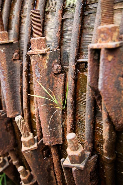 一个巨大的木制水管，有旧的铁带。节约用水理念. — 图库照片