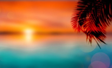 Kopya alanı ile odak dışında bir palmiye dalı ile plajda Keyifli turuncu gün batımı