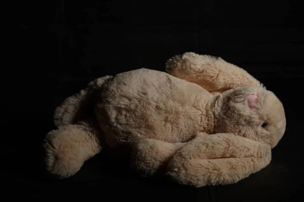 Soft toy rabbit on a dirty dark background in the beam of hard light with shadow. Lost childhood concept