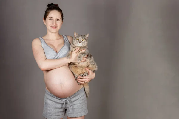Jeune femme enceinte dans un costume gris modeste avec un chat dans son bras — Photo