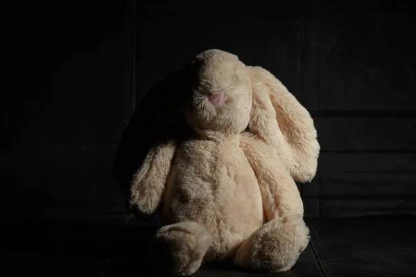 Soft toy bunny on a dirty dark background in the beam of hard light with shadow. Lost childhood concept