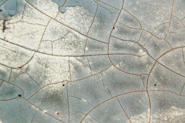 Çatlamış birçok boya tabakası ile boyanmış eski metal yüzey