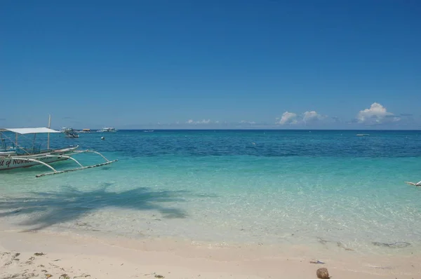 Paraíso Escapar Las Palmeras Océano — Foto de Stock