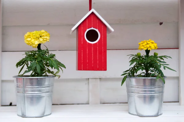 Adam düğün elbise andpink çiçek