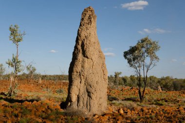 Termite Mounds - Kimberley - Australia clipart
