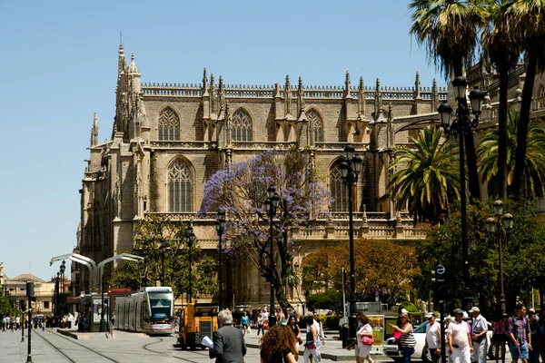 Seville España Junio 2016 Los Peatones Vida Urbana Cerca Catedral — Foto de Stock