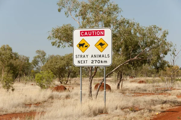 Cartel Animales Callejeros Australia — Foto de Stock