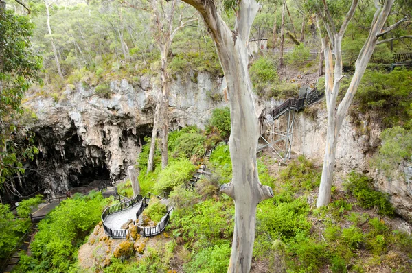 Lake Cave West Australië — Stockfoto