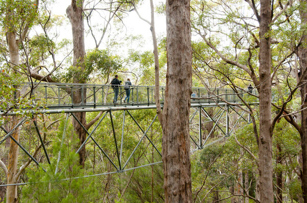 Тройная прогулка в Долине Гигантов - Уолпол - Австралия

